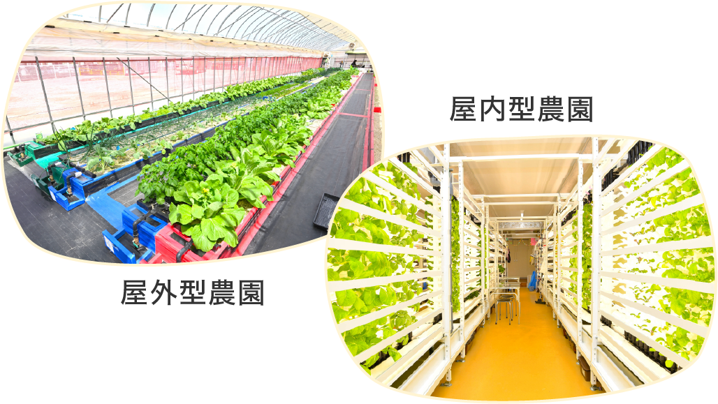 屋外型農園と屋内型農園の様子